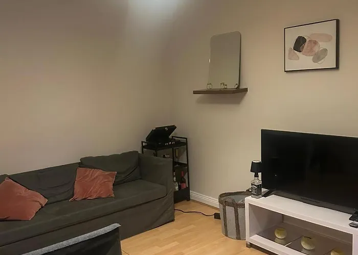 Cozy Apartament Kildare